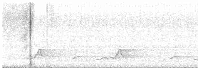 Schwarzkehl-Nachtschwalbe - ML597074201