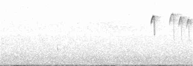 Black-capped Chickadee - ML59712801