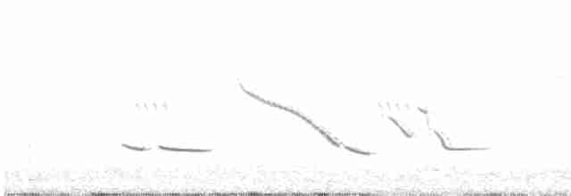 Chihuahuan Meadowlark - ML597193901