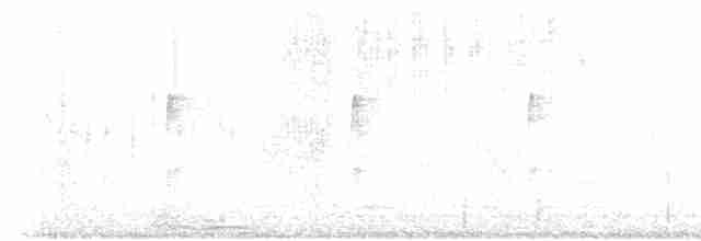Synallaxe de Vaurie - ML597196111