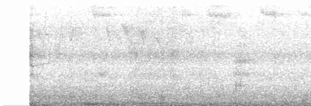Белолицая канделита - ML597212621
