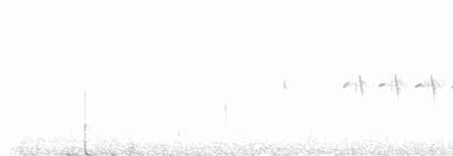 Шишкар ялиновий - ML597225591