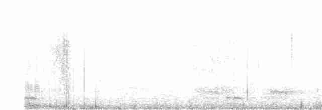 灰腳秧雞 - ML597247361