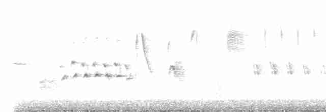 Пасовка співоча (підвид montana/merrilli) - ML597252231