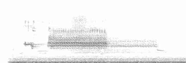 Al Kanatlı Karatavuk [phoeniceus grubu] - ML597252251