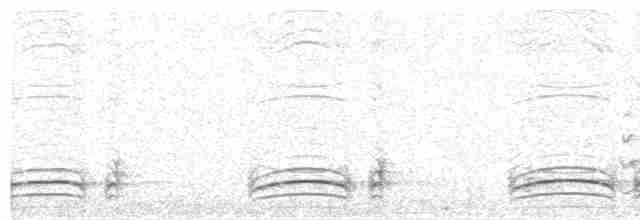 Сероголовая яху - ML597283411