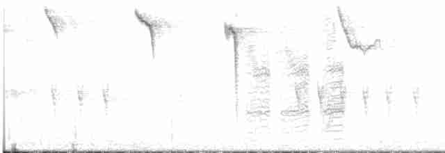 "Шишкар ялиновий (Appalachian, або тип 1)" - ML597298911