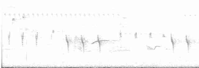 "Шишкар ялиновий (Appalachian, або тип 1)" - ML597298921