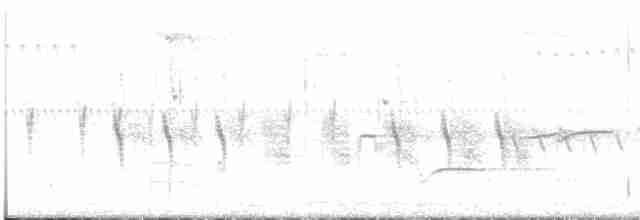 "Шишкар ялиновий (Appalachian, або тип 1)" - ML597298931