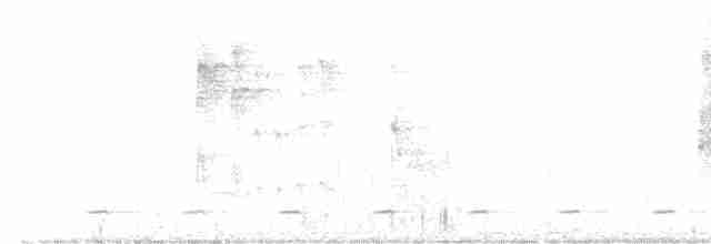 Сичик-горобець андійський - ML597317661
