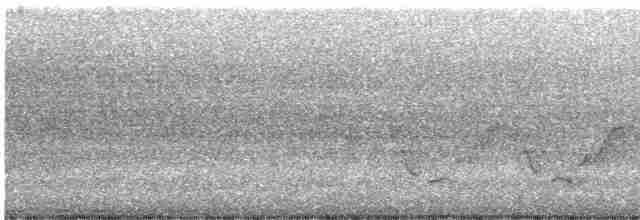 Поплітник каролінський - ML597322901
