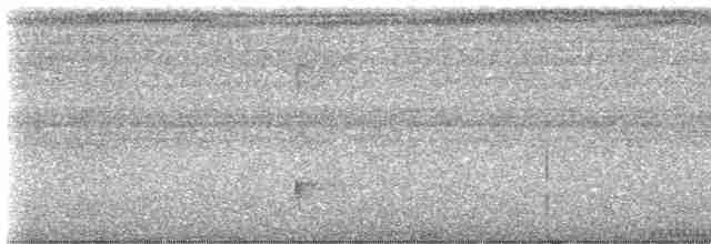 Шлемоносная чубатка - ML597399741