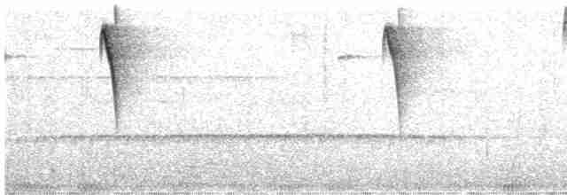 Речной колибри-отшельник - ML597422541