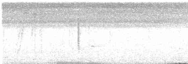 Цинантус синьогорлий - ML597440881