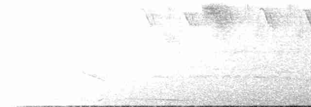 Üç Renkli Çalı Serçesi (crassus) - ML597467431