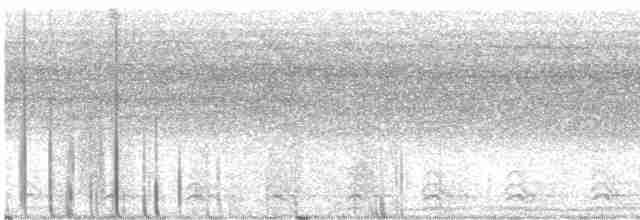 Slaty-tailed Trogon - ML597489691