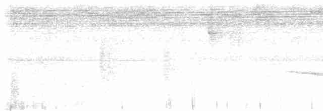 Tüpfelkronen-Ameisenvogel - ML597494271