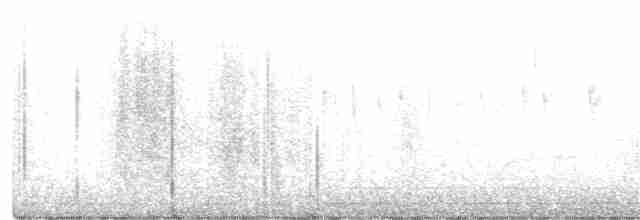 White-throated Hummingbird - ML597498051