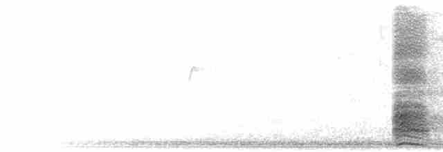 alkoun holubí - ML597512581