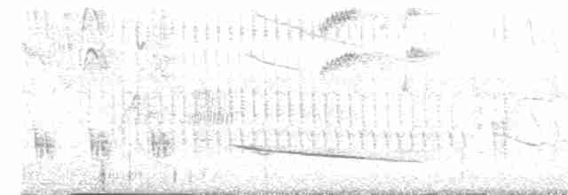 Зернолуск чорнокрилий - ML597515661