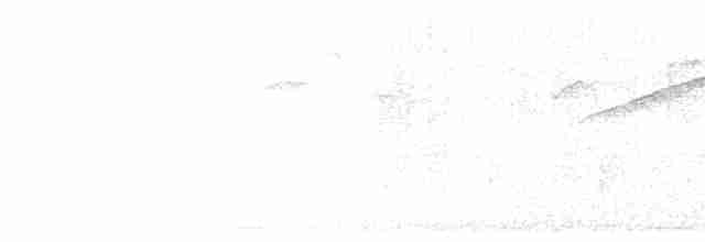 alkoun holubí - ML597538751