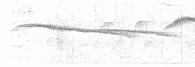 alkoun holubí - ML597541511