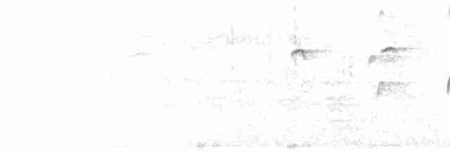 alkoun holubí - ML597541521