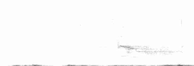 Сизойка чорноголова [група stelleri] - ML597544981
