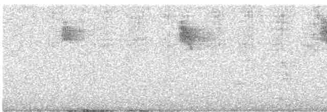 Spotted Flycatcher - ML597566211