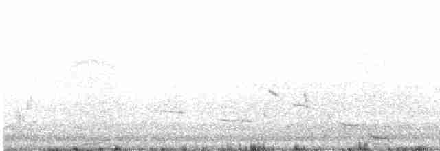 Western Meadowlark - ML59757391