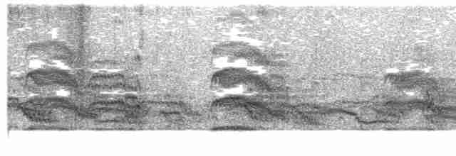 Common Tern - ML597579311
