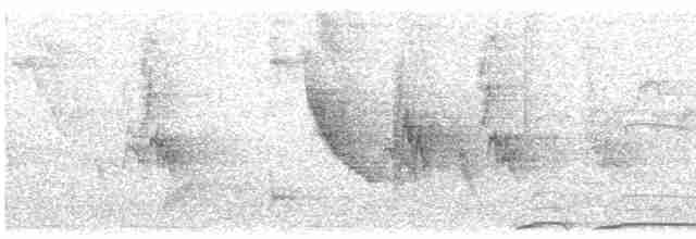 Eurasian Collared-Dove - ML597658041