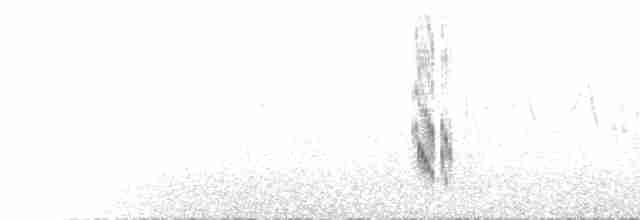 Красноспинная горихвостка - ML597660771