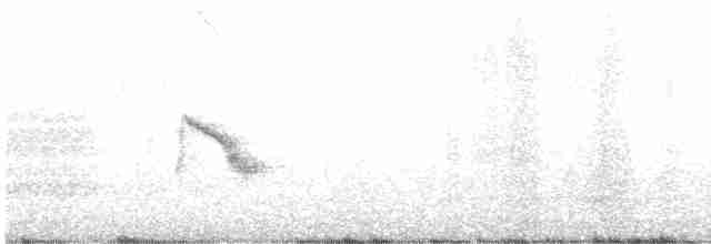 Bicknell Bülbül Ardıcı - ML597669751