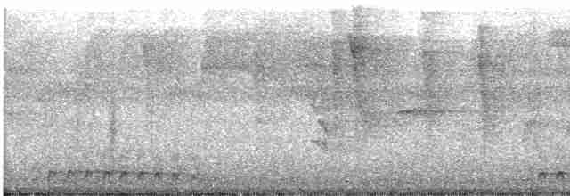 Lattice-tailed Trogon - ML597712611