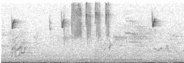 Conirostre oreillard - ML597737751