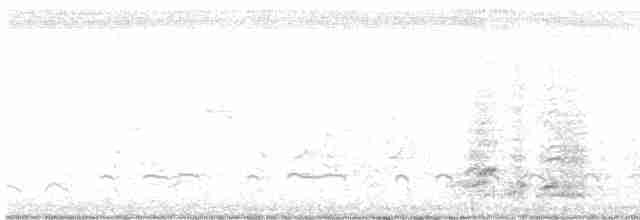 Морщинистоклювая ани - ML597756341