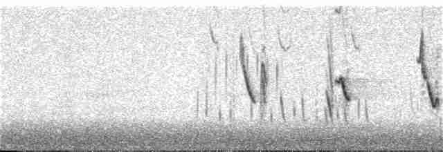 Conirostre géant - ML59776851
