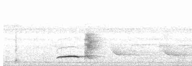 Large-headed Flatbill - ML597777471