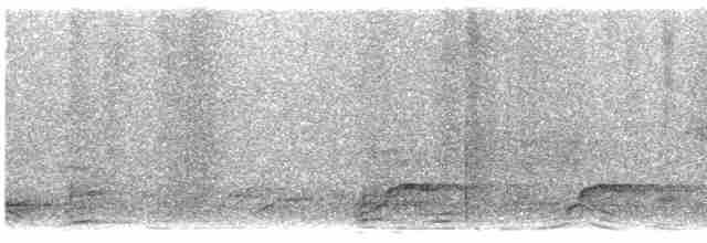 Грімпар бурий (підвид turdina) - ML597793551