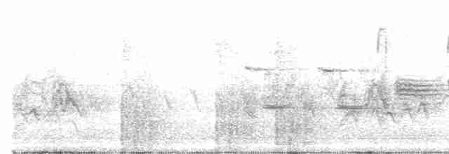 Song Sparrow (montana/merrilli) - ML597793771