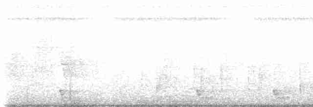 Large-tailed Nightjar - ML597802931