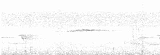 Sulphur-bellied Whistler - ML597803281