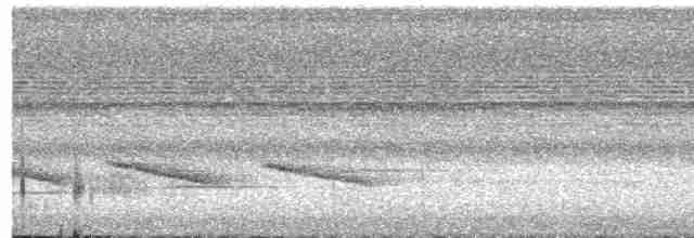 Short-tailed Babbler - ML597807251