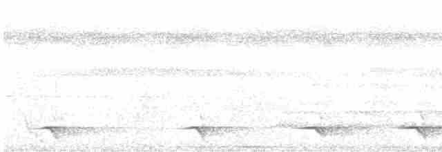 Black-chinned Whistler - ML597811271