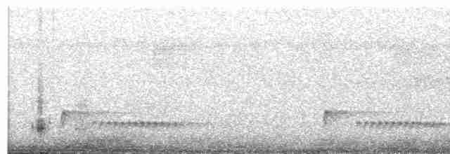 Luzonschneidervogel - ML597811531