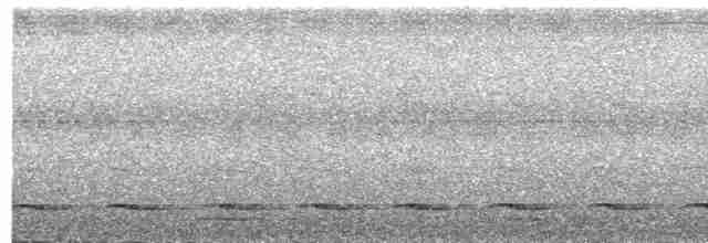 Борнейская лесная куропатка - ML597813441