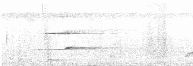 Moluccan Dwarf-Kingfisher - ML597814601