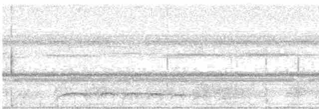 Молуккский совиный козодой - ML597815261