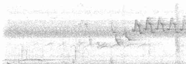 Каштановая длиннохвостая горлица - ML597820661